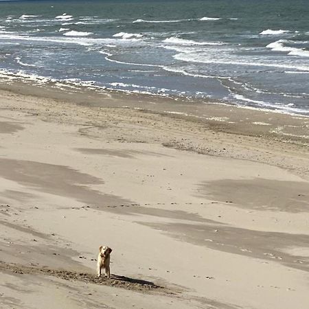 Natur Pur, O4 Neues Ferienhaus Natureingebunden, Familien- Und Hundefreundlich Eingezaeunt Каллантсог Экстерьер фото